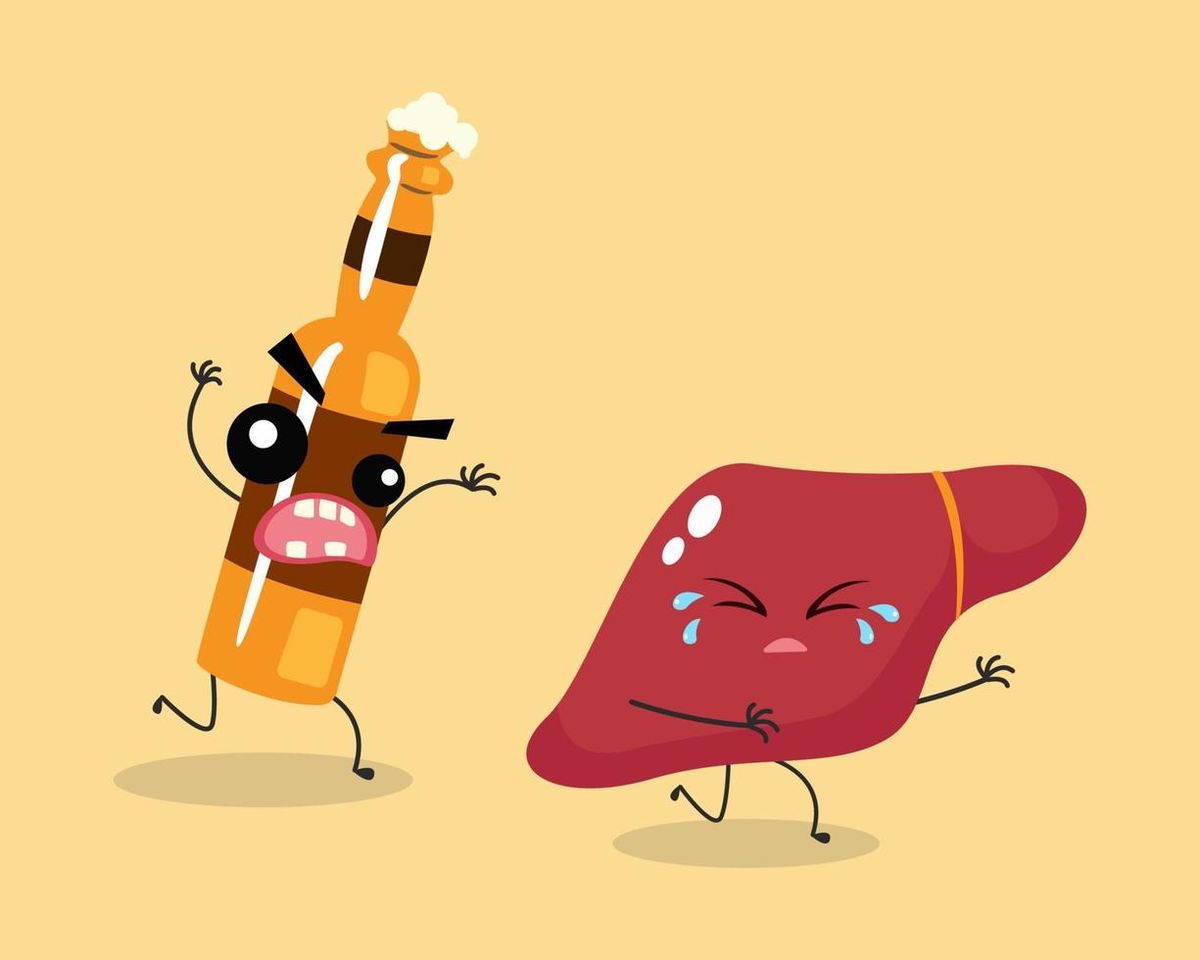 Comment l'alcool endommage progressivement le foie : les quatre stades, de la stéatose hépatique à la cirrhose